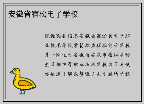 安徽省宿松电子学校